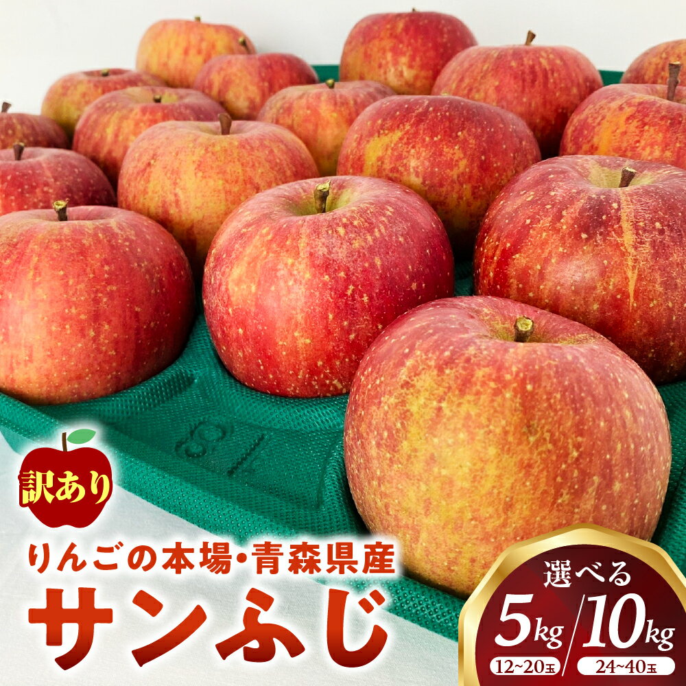 【ふるさと納税】【訳あり】青森 りんご「 サンふじ」【2025年産・先行予約】★2025年12月〜2026年1月末頃まで発送予定★容量を選べる！ 約5kg（12〜20玉）/約10kg（24〜40玉）青森県産 リンゴ 三戸町 林檎 フルーツ 農家直送 わけあり 家庭用 不揃い 傷あり