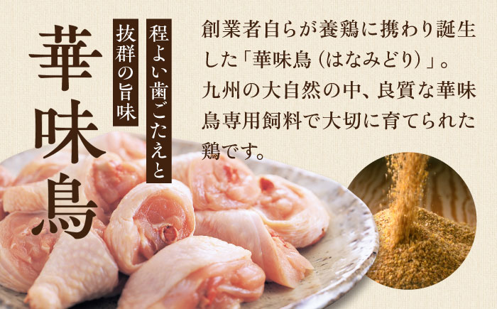 【累計100万食突破！】博多華味鳥 水炊き セット 3〜4人前 水たき 糸島 / トリゼンフーズ[AIB001] 華味鳥 水炊き はなみどり ランキング 上位 人気 鍋 鍋セット
