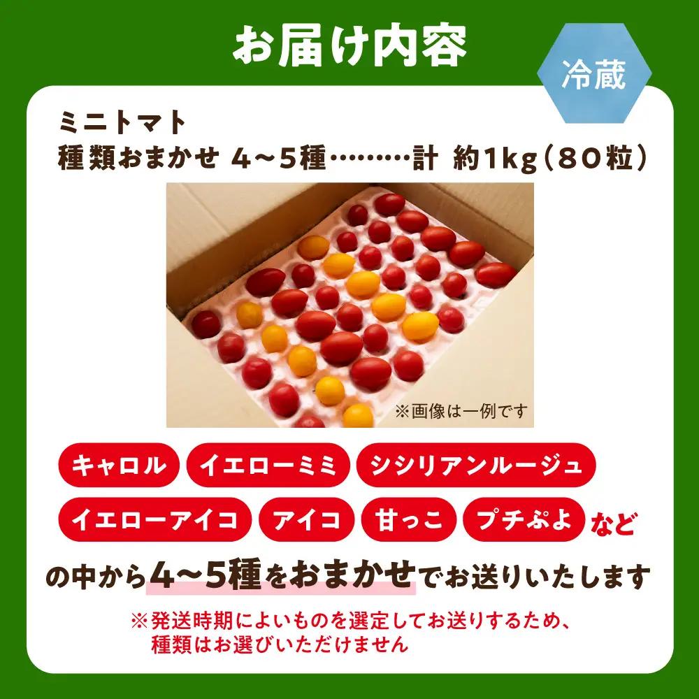 【新鮮】知床の斜里町産 採れたてミニトマト4～5種セット 約1kg(80粒) | トマト ミニトマト プチトマト 野菜 北海道 斜里町