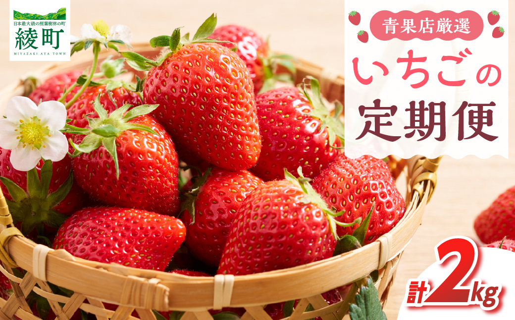先行予約【全2回お届け】 いちご 定期便 合計2kg［I21］果物 フルーツ くだもの 2027年 青果 苺 イチゴ いちご大福 国産 おやつ スイーツ デザート おすすめ ジャム ジュース 甘い ジ