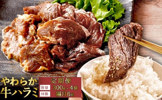 【隔月6回定期便】【訳あり】やわらか 牛ハラミ（サガリ）肉 極旨秘伝醤油タレ漬け（300g×4袋）ハラミ 牛肉  個包装 焼肉 ES-507 (AS-0134-0)