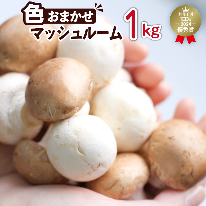 八幡平マッシュルーム1kg 色はおまかせ ／ ジオファーム きのこ 料理 茸 キノコ