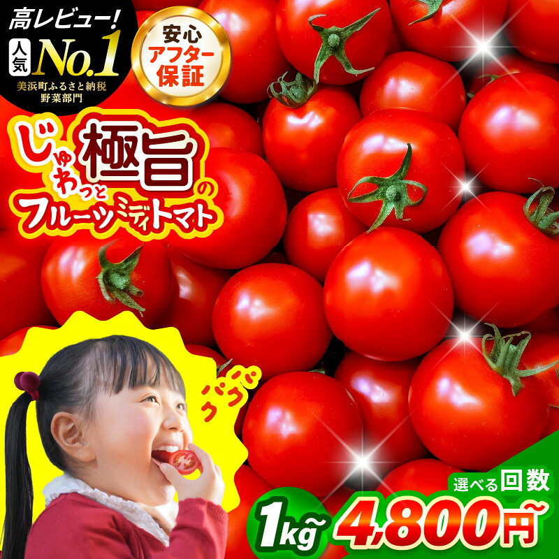 【ふるさと納税】野菜 じゅわっと極旨のフルーツミディトマト【選べる容量／回数】【 とまと トマト 新鮮野菜 やさい フルーツトマト ミニトマト トマトジュース サラダ 人気 新鮮 産地直送 甘い 高糖度 完熟 リコピン ビタミン ダイエット 美容 美肌 健康 食べやすい 】