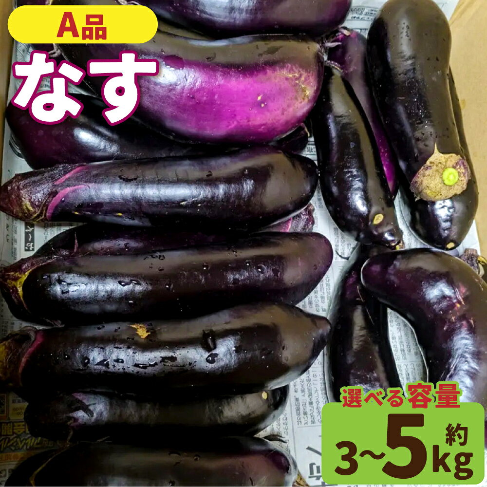 【ふるさと納税】【選べる・容量】【A品】鹿児島県産ナス 3kg 5kg 朝どれ 季節限定 なす ナス 茄子 なすび 朝どれ 朝採れ 夏野菜 夏 なつ 野菜 やさい 季節限定 夏限定 農家直送 鹿児島県 薩摩川内市 送料無料 【2026年7月上旬から9月下旬発送予定】