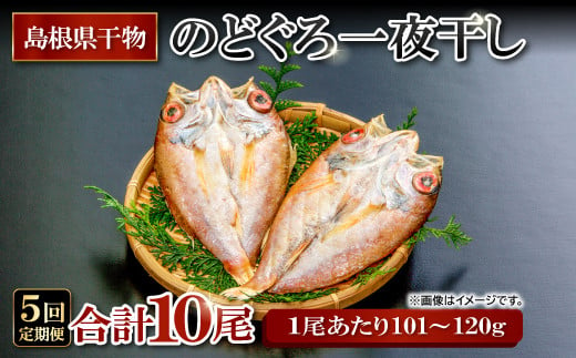 のどぐろ一夜干し 2尾 【5回定期便】【1尾あたり101～120g 2尾 のどぐろ干物 10枚 のどぐろ ノドグロ あかむつ アカムツ 新鮮 干物 一夜干し 個包装 小分け 真空パック 冷凍 贈答 父の日 母の日】