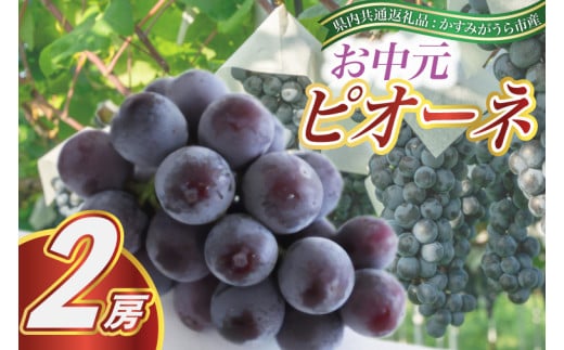 お中元　ピオーネ　2房(県内共通返礼品:かすみがうら市産) (BR090)