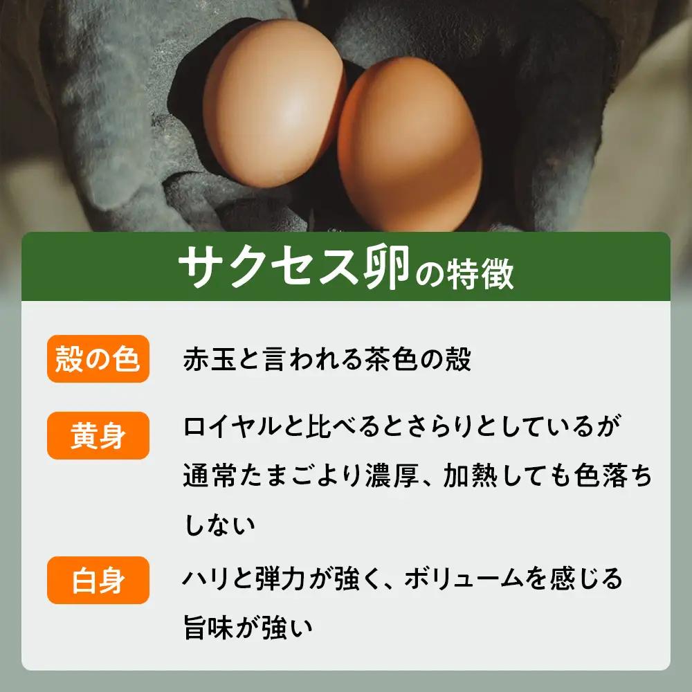 【定期便】６回定期 【天王原のたまご】 サクセス卵30個/ロイヤル卵30個
