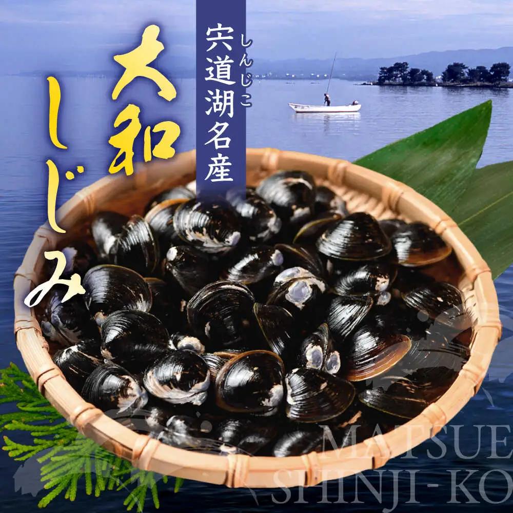 しじみ 【全6回定期便】宍道湖産 「しじみ」 200g×4 島根県松江市/有限会社ヤマヲ水産[ALDB022] しじみ しじみ