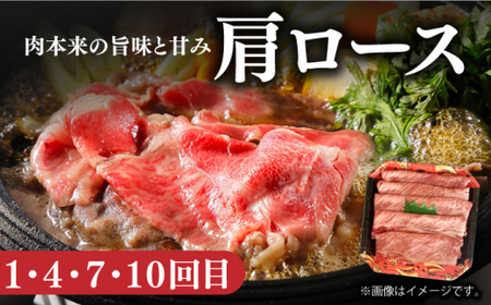 【12回定期便】 長崎和牛 定期便 約10kg 国産ハンバーグ ローストビーフ ロース  [DBL031]