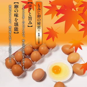  卵 3種食べ比べセット 計30個  ※割れ保証5個含む 卵 【VEG092】