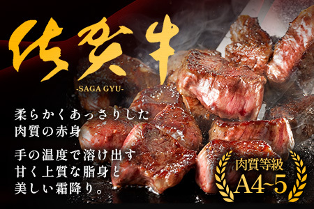 【ふるなびWEEK対象】佐賀牛サイコロステーキ 500g（バラ、モモ、ウデ）　B-830