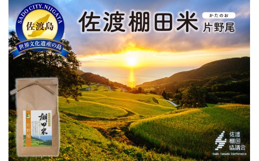 佐渡島産棚田 片野尾ぬくもり米 白米4Kg（2Kg×2袋）【令和7年産】