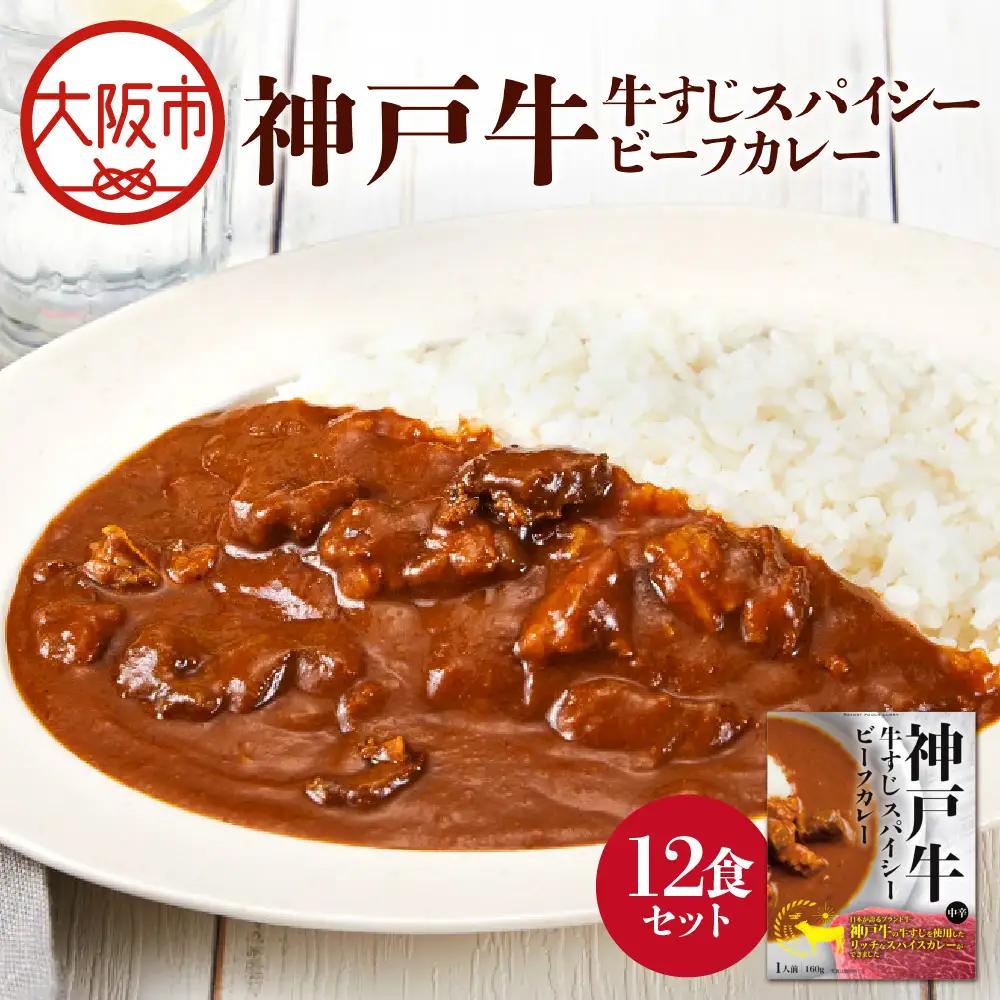 【 京阪百貨店厳選 】神戸牛すじスパイスカレー160ｇ×12食セット カレー_OS048-0068-03