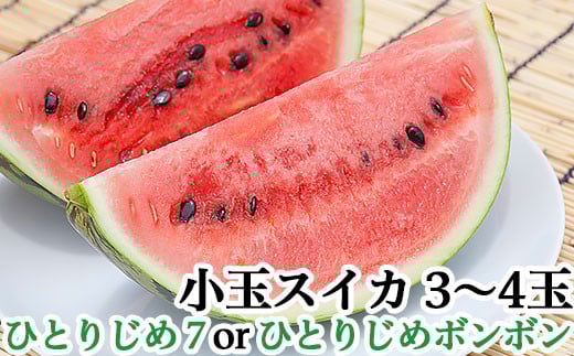 
            小玉スイカ（1.3～1.8kg）×3～4玉【丸茂農園】
          