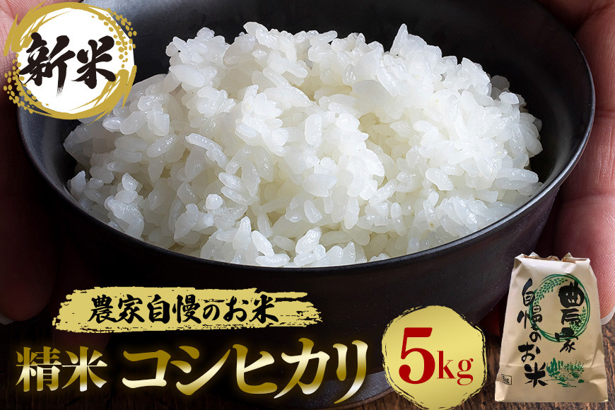 
            【令和6年産】 精米 コシヒカリ 5kg お米 白米 米 おこめ ブランド米 こしひかり 5キロ 国産 単一原料米 コメ こめ ご飯 銘柄米 茨城県産 茨城 産直 産地直送 農家直送 ふっくら ごはん 一人暮らし 家庭用 贈答用 茨城県 石岡市 (G398)
          