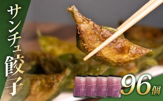 サンチュ 餃子 96個 12個×8パック 冷凍 小分け 国産 豚肉 サンチュ 野菜 たっぷり 手軽 絶品 晩ごはん 家族 子ども 弁当 惣菜 おかず おつまみ 簡単調理 ぎょうざ ギョーザ 焼き餃子 水餃子 ジューシー シャキシャキ パリパリ もちもち 千葉県 旭市 有限会社かまや kmy002