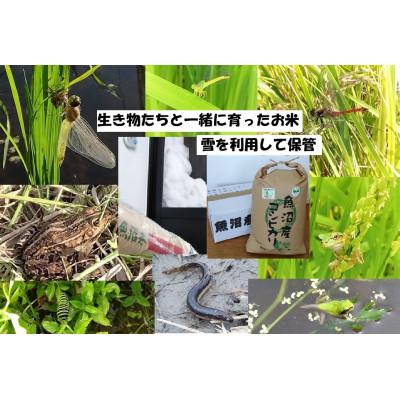 ふるさと納税 魚沼市 【魚沼ブランド】玄米10kg【JAS認証有機栽培・エコファーマー】魚沼産コシヒカリ
