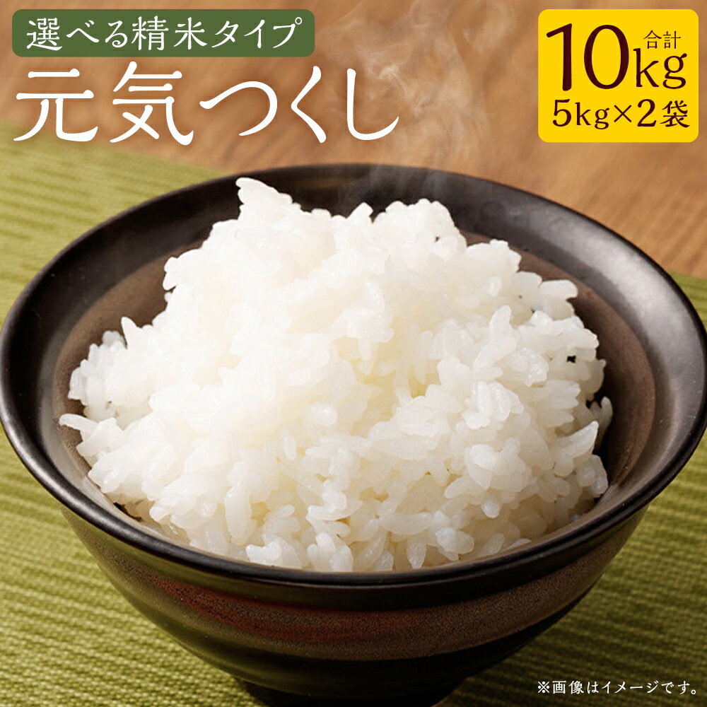 【ふるさと納税】＜選べる内容＞【令和7年産】元気つくし（ 玄米 ・ 精米 ） 計10kg（5kg×2袋） れんげ米 お米 米 白米 単一原料米 ごはん ご飯 お弁当 おにぎり 福岡県産 国産 九州 福岡県 嘉麻市 送料無料 【2025年9月下旬～12月下旬迄順次発送予定】