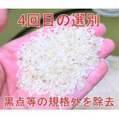 ふるさと納税 大仙市 【毎月定期便】全7回 15kg(5kg×3袋) 大手有名百貨店出荷米　あきたこまち全7回 |  | 02