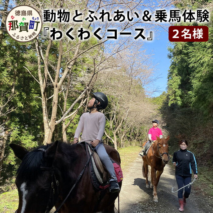 【ふるさと納税】動物ふれあい＆乗馬体験 『わくわくコース』約30分 2名【徳島県 那賀町 乗馬 馬 動物 体験チケット 体験型 観光乗馬 ふれあい 観光 旅行 遊び アクティビティ お出かけ レジャー アウトドア アニマルセラピー 癒し リフレッシュ クラブコルツ】CC-3