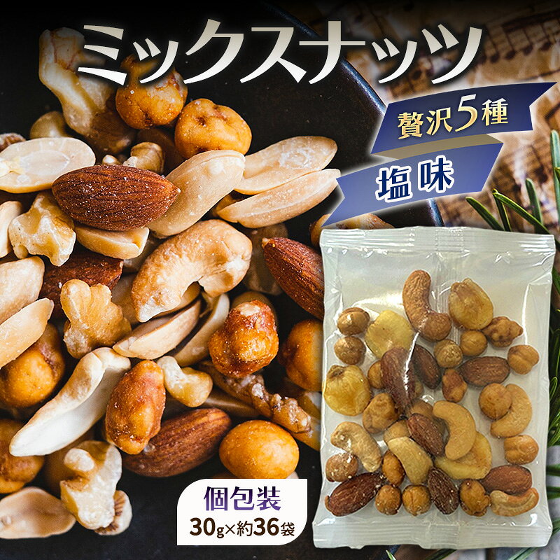 【ふるさと納税】ミックスナッツ 塩味 贅沢5種 30gx36袋 1080g (約1kg) 小分け 赤穂の焼き塩でまろやか仕立て アーモンド カシューナッツ