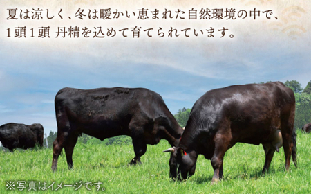 【全3回定期便】長崎和牛モモスライス 計3.0kg (約1.0kg×3回)【ながさき西海農業協同組合】[QAK023]