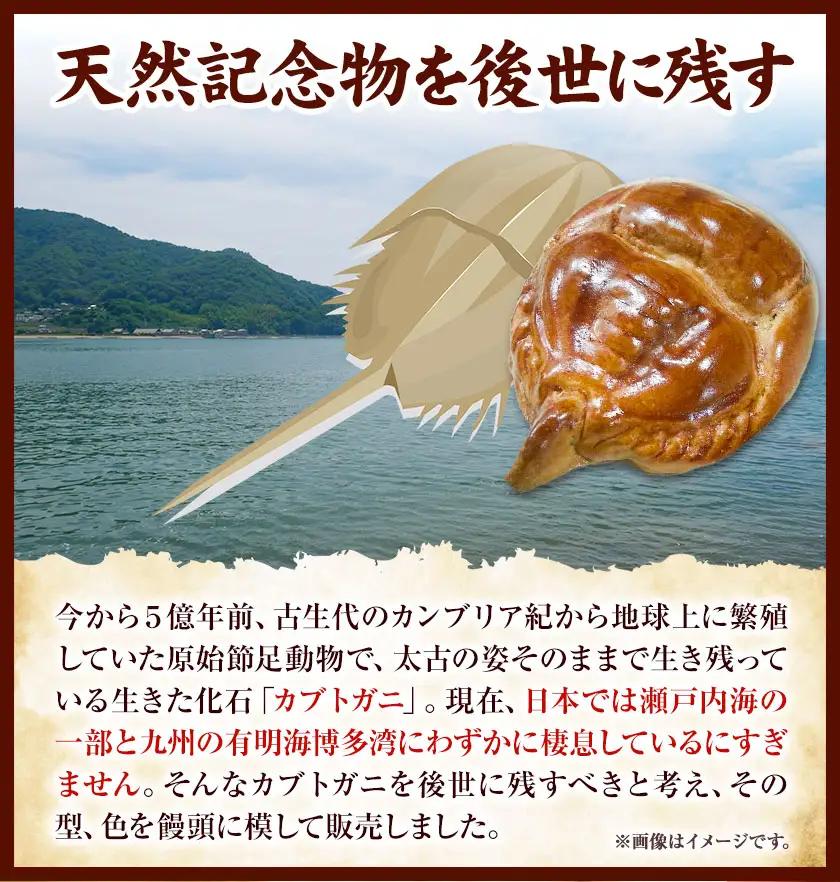 かぶとがにまんじゅう 中 4個 株式会社玉利軒 饅頭