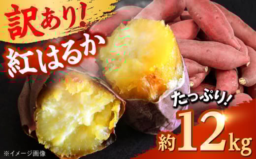 【先行予約】 【訳あり】 【数量限定】 紅はるか さつまいも 約12kg 1箱【Shiro Planning 株式会社】 [AYAJ001]