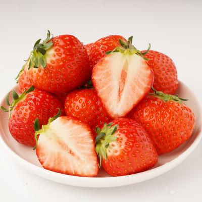 ふるさと納税 東かがわ市 【発送月固定定期便】東かがわ市フルーツ定期便全5回 |  | 02