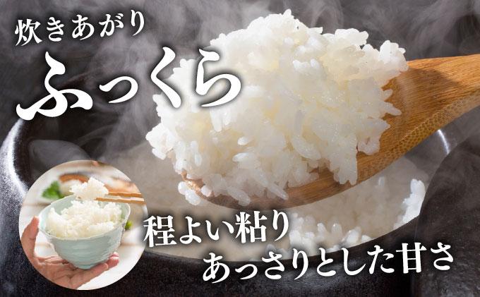 令和7年産 北海道 ななつぼし 新米 5kg【khn-001】 精米 特A 白米 お米 米 道産米 ブランド米 ご飯 もちもち 産地直送 農園直送 人気 お取り寄せ 贈り物 備蓄 栗橋農園 送料無料 