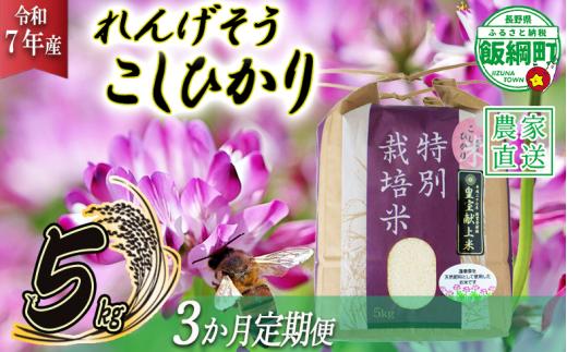 米 れんげそう こしひかり 5kg × 3回 【3ヶ月定期便】 ( 令和7年産 ) 特別栽培米 仲俣農園 2025年10月上旬頃から順次発送予定 コシヒカリ 白米 精米 お米 信州 79500円 予約 農家直送 長野県 飯綱町 [1926]