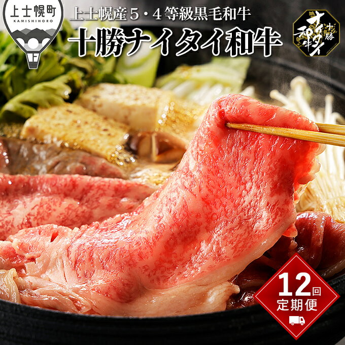 【ふるさと納税】十勝ナイタイ和牛 定期便 1年12ヵ月コース 計12回 北海道産 牛肉 5・4等級黒毛和牛 オレイン酸含有率55%以上 サーロイン ヒレ ミスジ モモ 肩ロース リブロース ステーキ 焼肉用 すき焼き用 冷凍ハンバーグ レビューキャンペーン対象品 ※オンライン申請対応