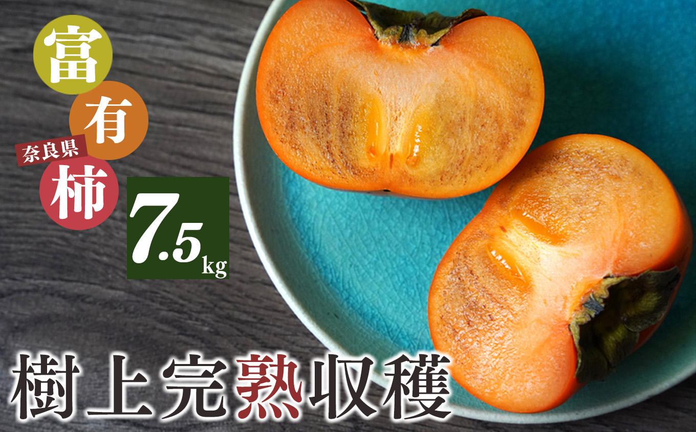 富有柿 7.5kg 24～28個入り M箱 | 果物 くだもの フルーツ 柿 かき 期間限定 産地直送 奈良県 大淀町 メディアで紹介