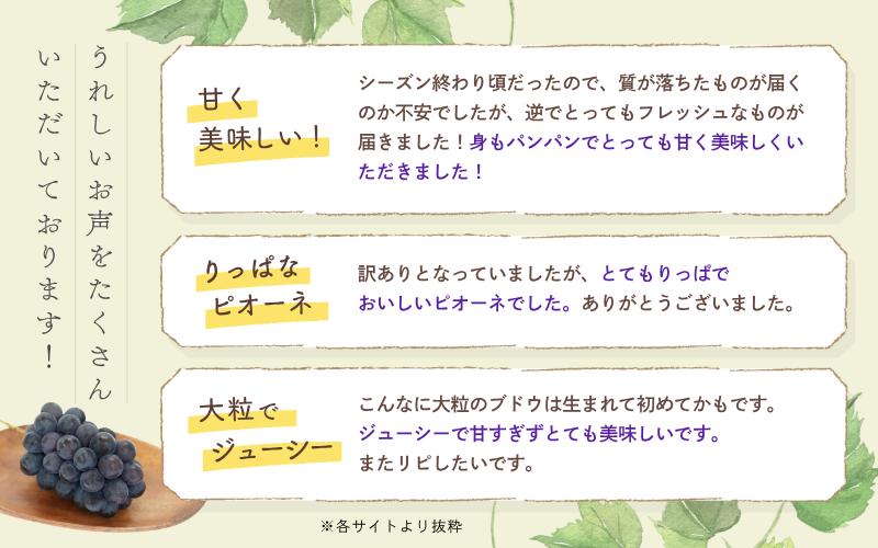 うれしいお声をたくさんいただいております！