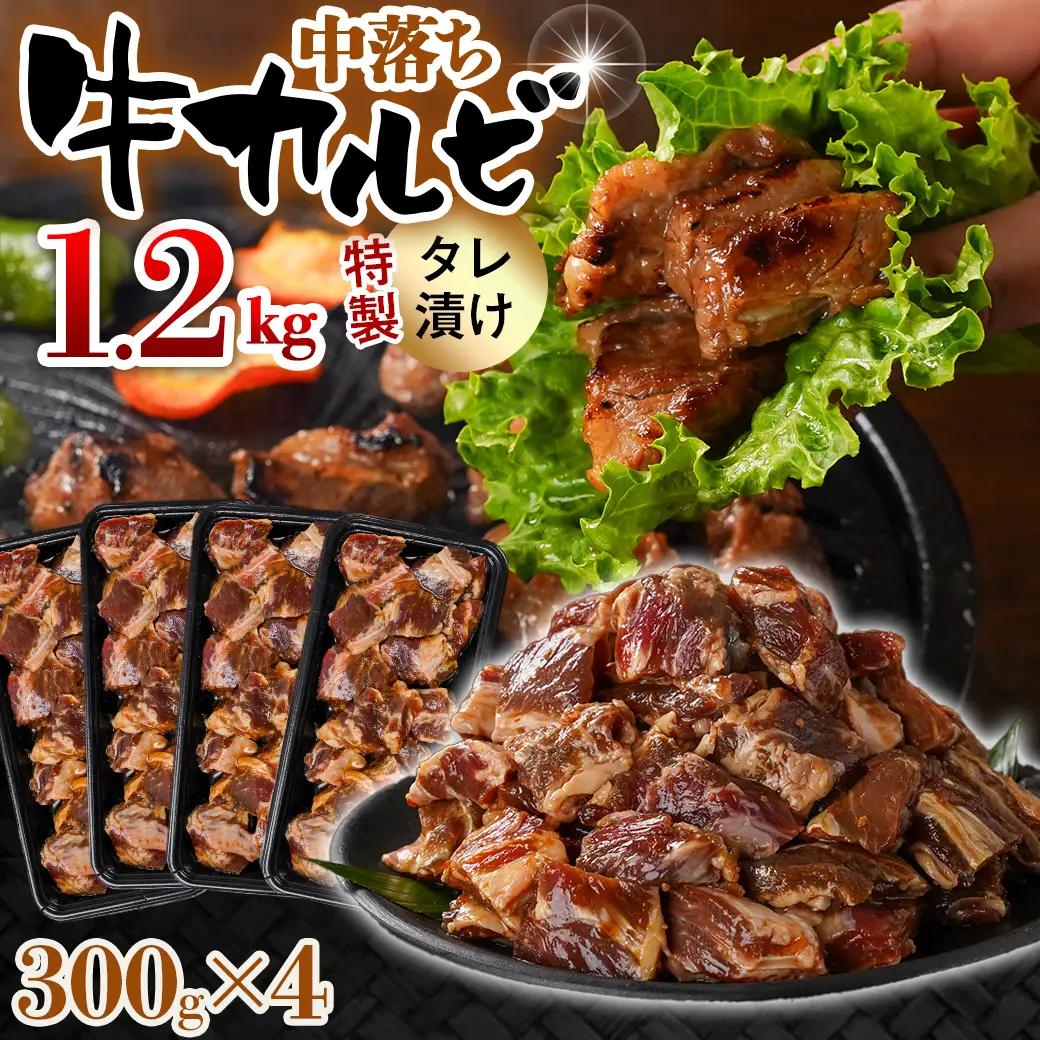 牛中落ちカルビ タレ漬け1.2kg〔AAJ-33-023-1200g〕_(都城市)  味付き牛中落ちカルビ 300gパック 真空 小分け 1200g