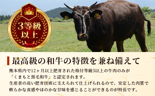 【A4〜 A5等級】くまもと黒毛和牛サーロインステーキセット 1kg（ 250ｇ×4枚 ） ブランド 牛肉 肉 サーロイン ステーキ 250ｇ×4枚 記念日 4人分 ご馳走 ご褒美 和牛 国産 熊本県