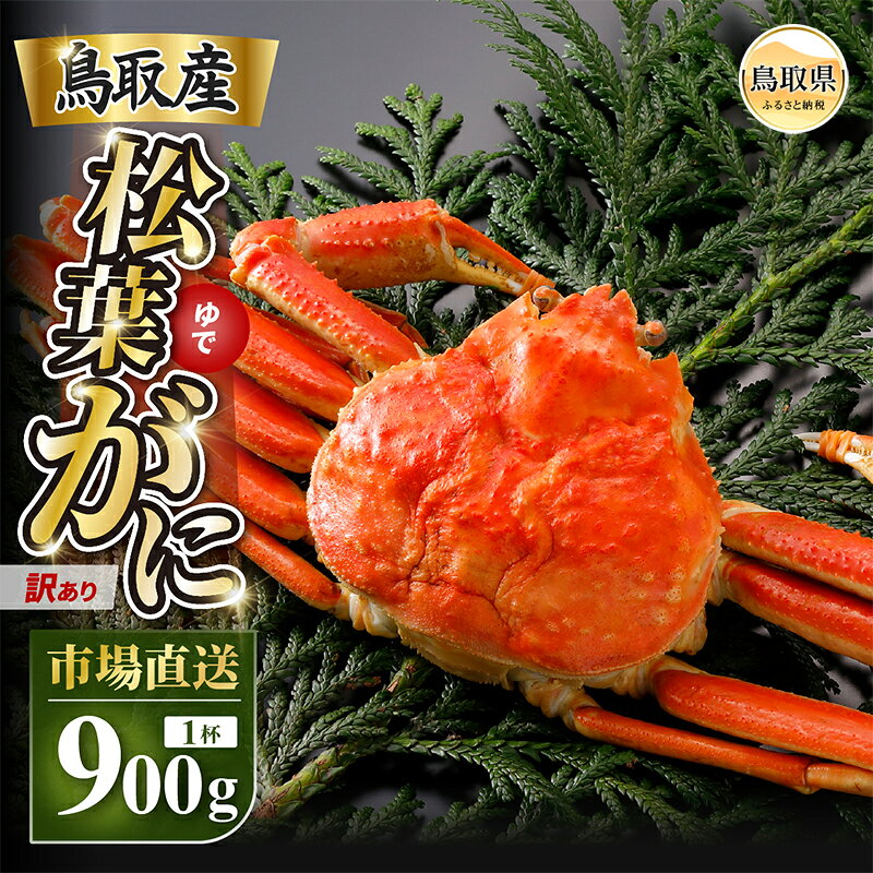 【ふるさと納税】【2026年12月発送】特撰　松葉がに（茹）【訳あり】900g超の大きいサイズ　食べ応えあり　特大1杯【期間限定】_T2600460