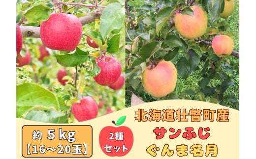 ファームアグリエイトのりんご食べ比べ「ぐんま名月」「サンふじ」計 約5kg（16～20玉） 【 ふるさと納税 人気 おすすめ ランキング 北海道 壮瞥 りんご 蜜入り 5kg ぐんま名月 サンふじ 甘い 果物 おいしい 贈り物 贈物 贈答 ギフト 大容量 詰合せ セット 送料無料 】 SBTB016