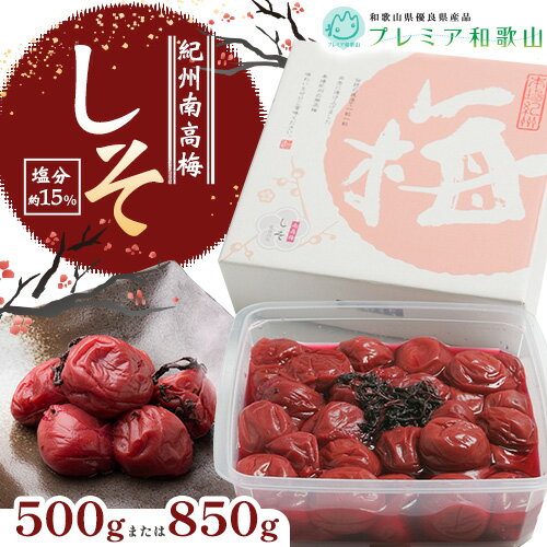 【ふるさと納税】梅干し 紀州南高梅 しそ 塩分 約15% 500g 850g 1パック 《60日以内に出荷予定(土日祝除く)》 株式会社やまだ 和歌山県 日高川町 梅 しそ しそ梅 梅干し 米 おかず 国産 梅干し うめぼし 梅干 送料無料