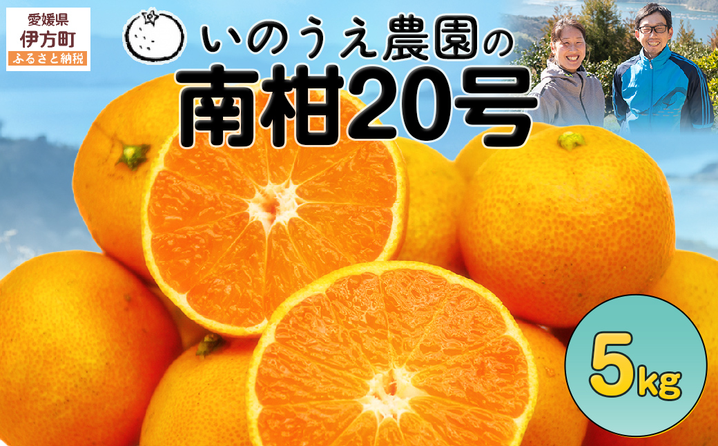 【先行予約】いのうえ農園の南柑20号 5kg ※離島への配送不可（2026年12月上旬より順次発送） IKTAI006