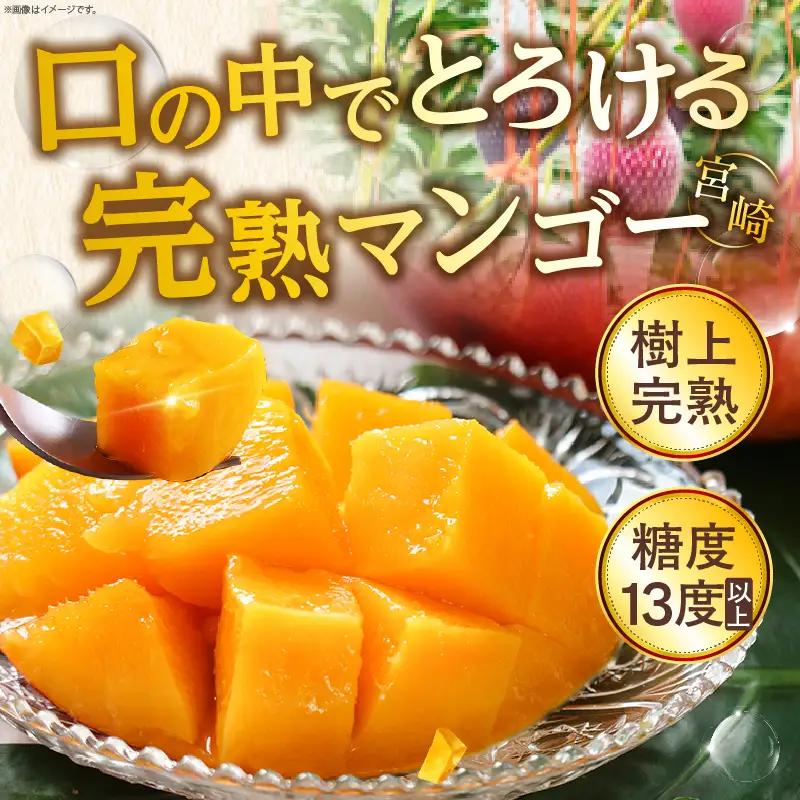 先行予約 完熟マンゴー 5L×1玉（化粧箱）マンゴー 宮崎 果物 フルーツ くだもの 2027年 国産 高級 マンゴージュース 南国フルーツ おすすめ デザート ギフト 贈り物 プレゼント 贈答 冷蔵