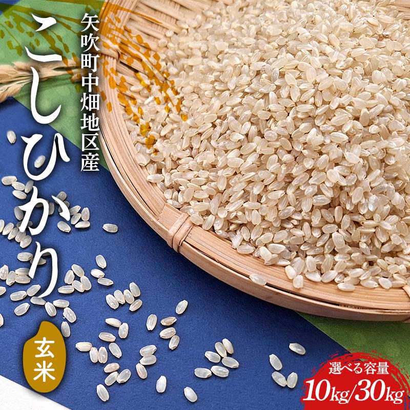 【ふるさと納税】《選べる容量》【令和7年産】矢吹町中畑地区産こしひかり 玄米 10kg(5kg×2袋) / 30kg(30kg×1袋) F6U-264var