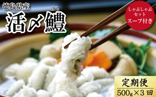 定期便 全3回 鱧 ハモ しゃぶしゃぶ セット 1.5kg 500g × 3回 スープ付き 冷凍 新鮮 産地 直送 高級 料亭 活け 国産 魚介 海鮮 おかず 料理 ※着日指定不可