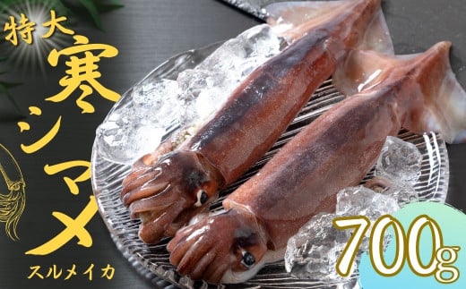 【寒シマメ 特大サイズ 丸ごと２杯セット】700g〜800g いか イカ スルメイカ 朝どれ寒シマメ 父の日 母の日 バーベキュー ギフト