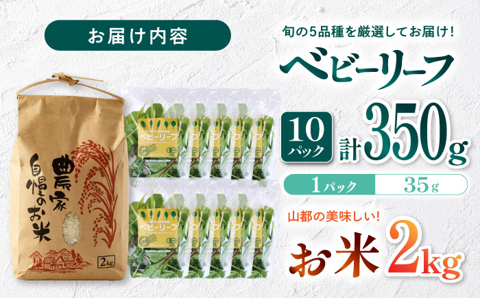 山都産ベビーリーフ350gとお米2kgのセット 産地直送 高原野菜 【株式会社 清和ミネラル会】 [YBT012]