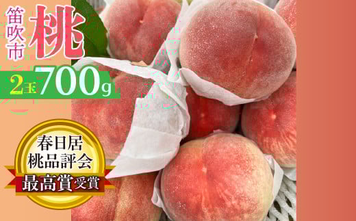 ＜25年発送先行予約＞春日居桃品評会最高賞受賞！！桃の一大産地「春日居のもも」 お試し約700g 2玉 230-006