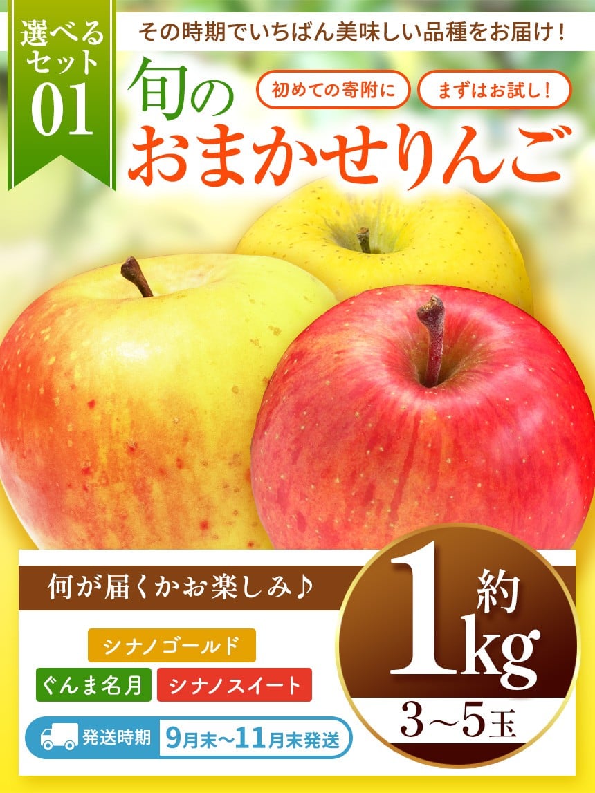 信州から直送！旬のりんごをお好きな品種で♪