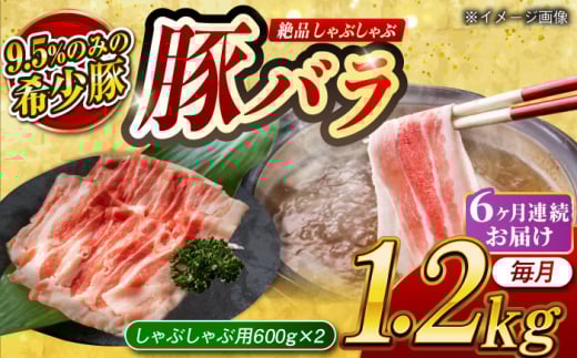 【月1回約1.2kg×6回定期便】大西海SPF豚 バラ（しゃぶしゃぶ用）計約7.2kg 長崎県/長崎県農協直販 [42ZZAA098]