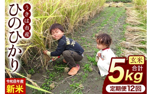 【ふるさと納税】令和8年度産 新米 玄米 ひのひかり 5kg 12ヶ月定期便 自然栽培 農薬不使用 米 お米 国産 ご飯 ごはん こめ コメ ヒノヒカリ 健康 食物繊維 腸活 ヘルシー 自然食品 ヴィーガン 家庭用 送料無料 福岡 お取り寄せ うきは市 人気 返礼品 ぶんぶんファーム