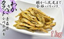 【ふるさと納税】わかさぎカラット　1kg　【02408-0004】# ワカサギ 揚げ煮 唐揚げ 青森県 東北町 小川原湖 対島商店